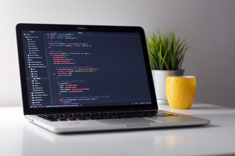 Continutul – elemente de baza in web development